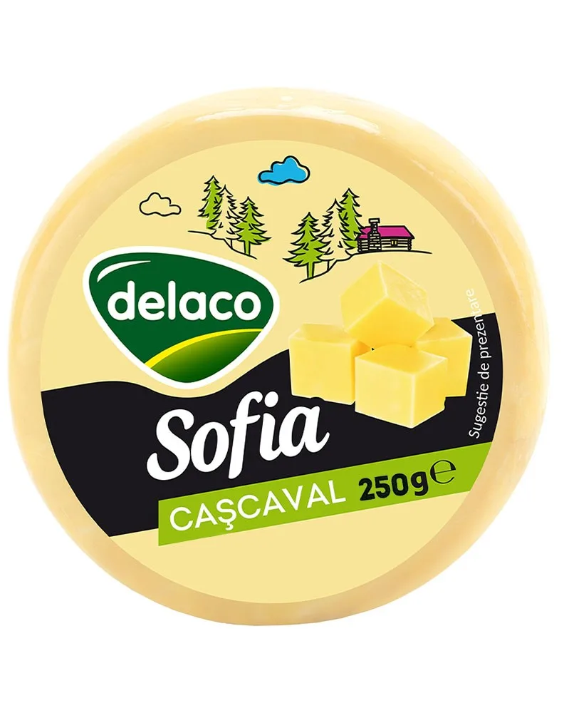 DELACO QUESO CURADO SOFIA 250G/12