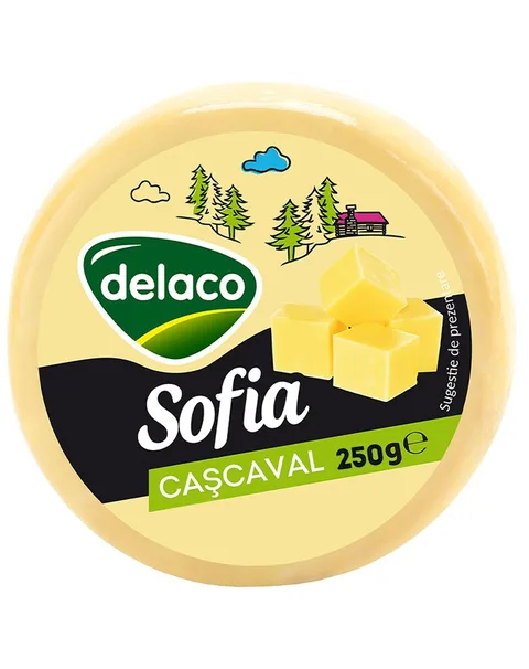 DELACO QUESO CURADO SOFIA 250G/12