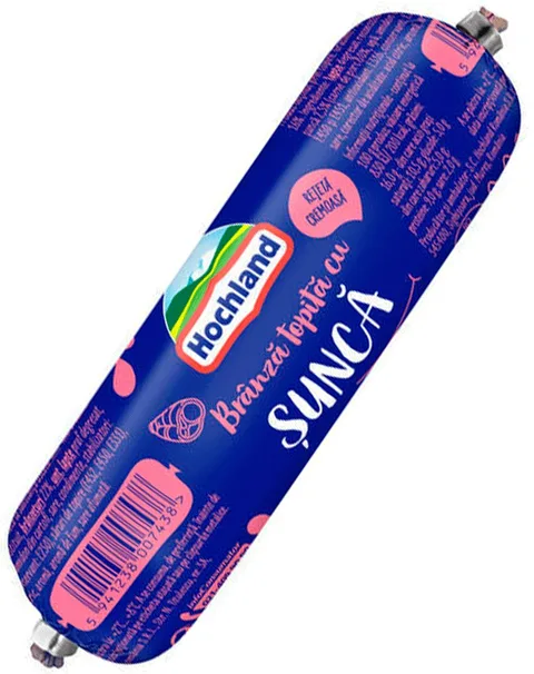 HOCHLAND QUESO FUNDIDO RULO JAMON 100G/10