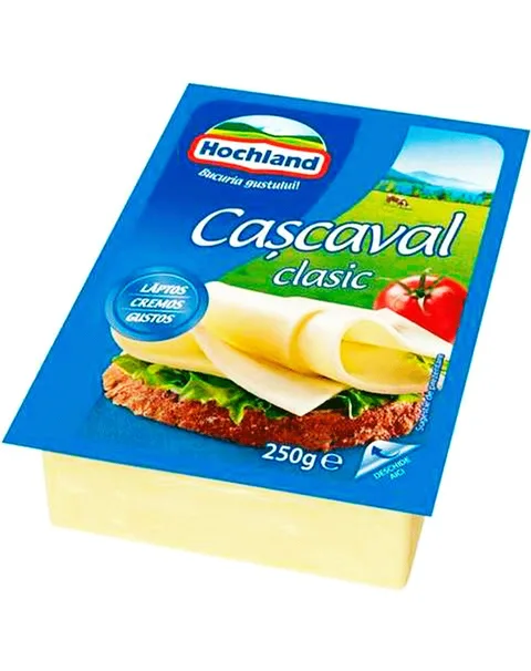 HOCHLAND QUESO CURADO 250G/12